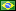Portugues Brasileiro